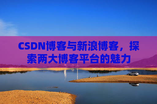 CSDN博客与新浪博客，探索两大博客平台的魅力